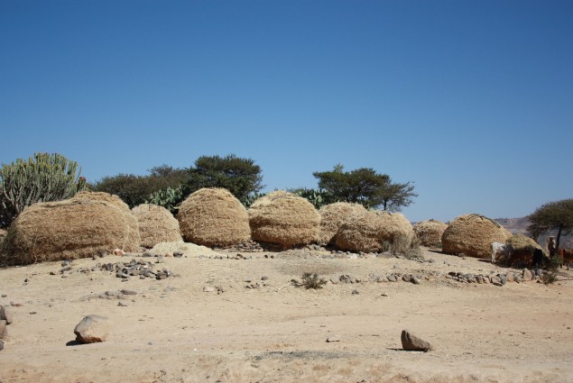 Storing the Harvest