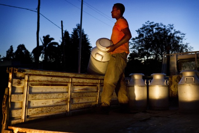 Collecting Milk for Transport in Ethiopia