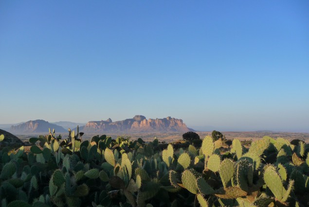 Tigray Horizon