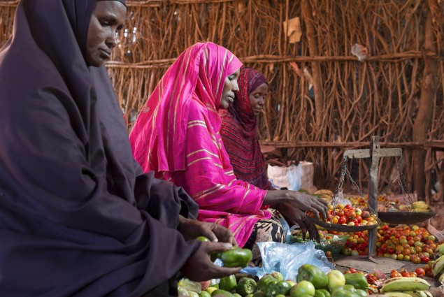 Using New Business Skills to Sell Produce