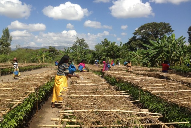 Drought-resistant Farming