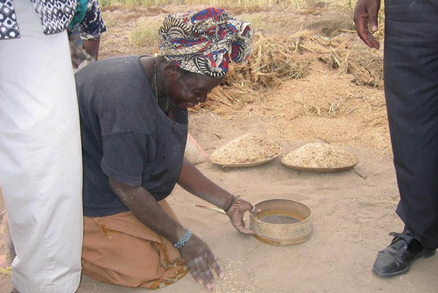 Locust - A Farmer in Toumbuktou