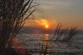 The Lake Niassa Reserve was officially opened on June 11, 2011. The Reserve protects the species and natural habitats of the mos