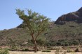 Terraced Hillsides Prevent Land Erosion