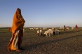 Caring for Family Flock