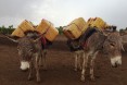 Residents of Fedha’ad used to get water for their consumption and their livestock from a surface dam during the dry season. This required a roundtrip trek of approximately 60km; they relied on seasonal surface ponds and birkads during the rainy season.