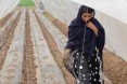 Zaibo Bibi at a model training farm for tunnel farming.