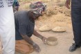 Locust - A Farmer in Toumbuktou