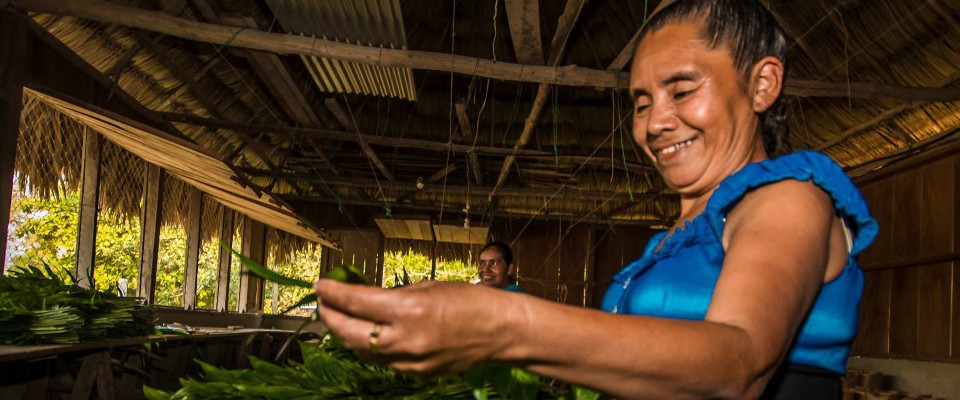 Photo of Jorge Soza, who works in Guatemala’s northern Peten and  is the centerpiece of the largest block of broadleaf tropical forest in Mesoamerica  Photo by: Concesiones Forestales