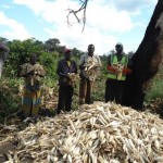 Farmers of Nhantumbi