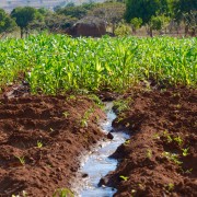 Malawi Climate Change