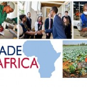 East Africa Trade and Investment Hub