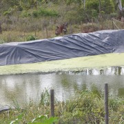 The 400,000-gallon rainwater harvesting pond at Munro College improves water efficiency for crop production.