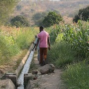 Njolo irrigation scheme in Dedza district, Malawi