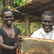 Mendana Tutikera of Pine village in the Solomon Islands harvests honey. With income from his bees, he pays school fees for his g