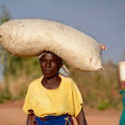 Food Security in Malawi SEG