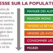 Effets de la sécheresse sur la population