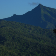 U.S. Launches New Biodiversity Project to Protect the Philippines’ Environment