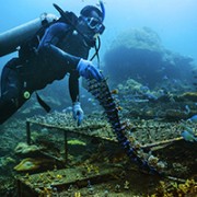 A MERIP staff diver and project beneficiary tending to the underwater coral farm. 