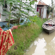 Shukhi Begum, Islampur, Jamalpur District, worked with USAID's SHOUHARDO III project last year, to raise her home on an earthen plinth, up above flood levels.