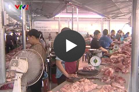 Chương trình Vì Cuộc Sống (VTV2): Phòng chống bệnh cúm gia cầm