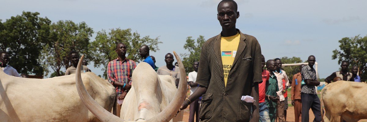 USAID supported South Sudan's first-ever Livestock Show in mid-July in Rumbek, with prizes awarded for healthy livestock