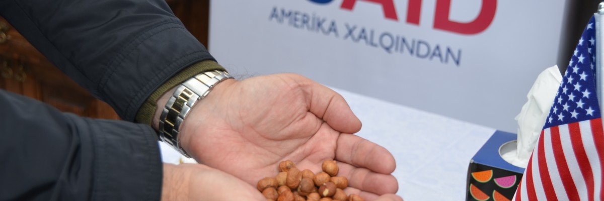 Hands holding raw hazelnuts with a USAID logo