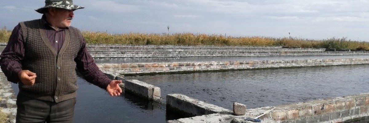 USAID's Participatory Utilization and Resource Efficiency of Water in the Ararat Valley (PURE Water) project works with fish farmers to help stem groundwater loss.