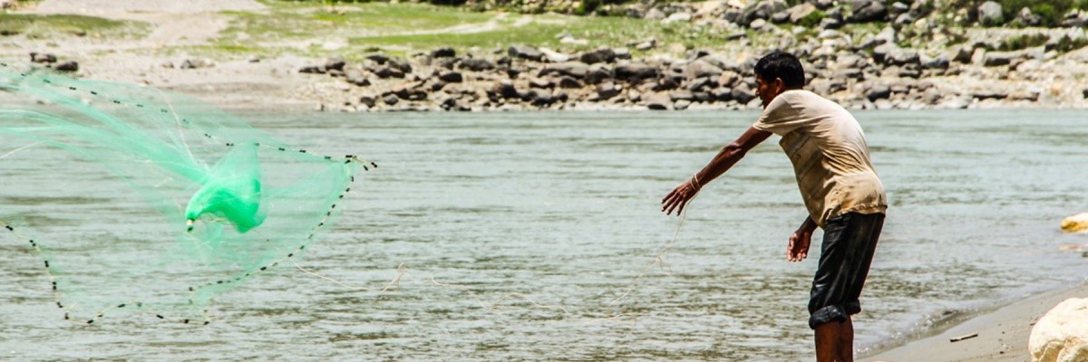 A fisherman in Dailekh District uses traditional methods to catch river fish in the Karnali River. Photo by DAI Global for USAID