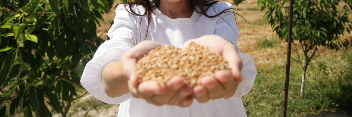 USAID supports agriculture and horticulture development in Uzbekistan