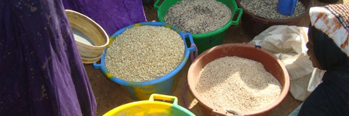 Mauritania Food Baskets